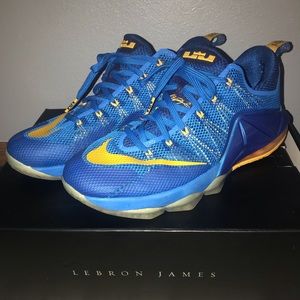 Nike Lebron 12s